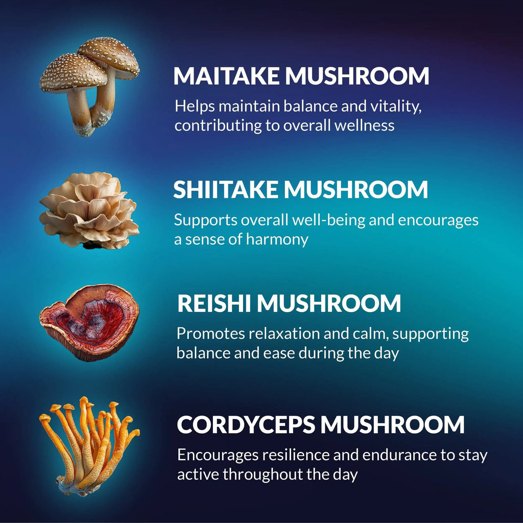 Mushroom Gummies Lion's Mane and Reishi for Cognitive Clarity 60 Gummies