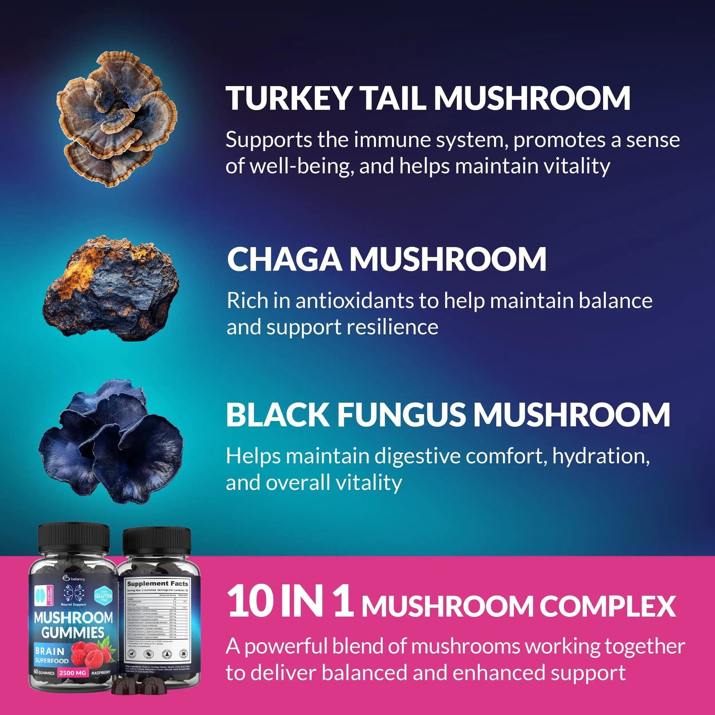 Mushroom Gummies Lion's Mane and Reishi for Cognitive Clarity 60 Gummies